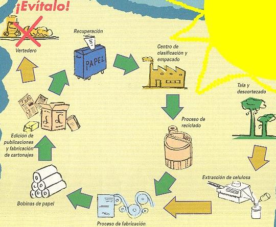 Qué es el papel reciclado y cuál es el proceso para reciclarlo?