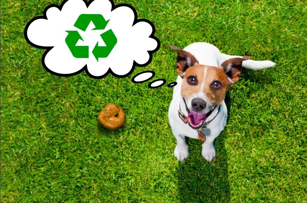 Bolsas Biodegradables para Heces - Perro de Mundo